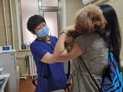 -北京观赏动物医院·24小时大型综合·猫专科·异宠专科