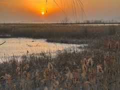 -野鸭湖国家湿地公园
