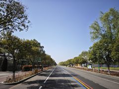 -兰陵国家农业公园