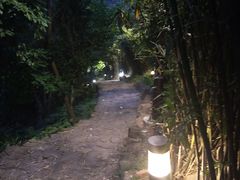-雨花胜境