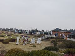 -空港花田景区