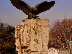 -北京鹫峰国家森林公园