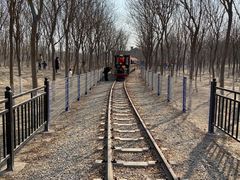 -西青郊野公园