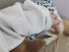 -怪兽屋·羊驼·猫咖·狗咖(俊华广场店)