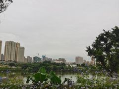 -悦哉·派对·草坪婚礼·围炉煮茶(三圣乡店)