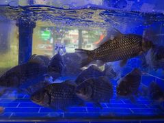 -辣螃铠盆盆蟹大排档(海昌店)