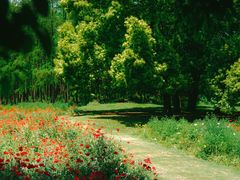 -上海共青森林公园