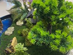 -陶缘一号·四季缘·老字号顺德菜·户外婚礼家宴(西滘店)