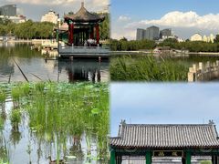 -莲花池公园