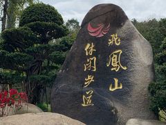 -飞凤山奥体公园