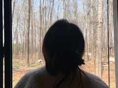 -林间山庄
