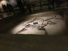 -洛阳周王城天子驾六博物馆