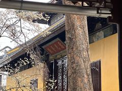 -西园戒幢律寺