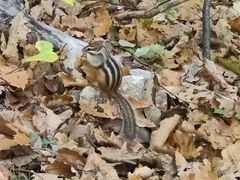 -九鼎铁刹山风景区