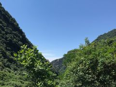 景点-太平万花山景区