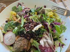 -Green Option(官舍店)