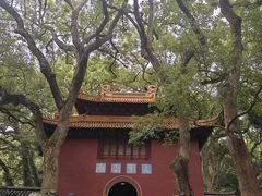 -普陀山风景名胜区-法雨禅寺