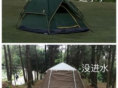 -重庆睡佛山森林公园