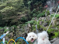 -陶祖圣境风景区