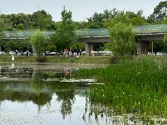 -白鹭湾湿地公园