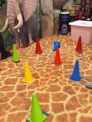 -卡通尼·Safari非洲探索乐园·生日会(金桥国际商业广场店)