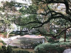 -香港大学