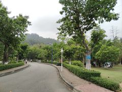 -滴水岩森林公园