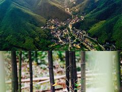 -莫干山风景区