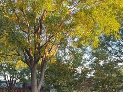 -月福京味斋·烤鸭店·北京菜(鼓楼总店)