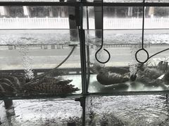 -凯华海鲜火锅·传承三十六年