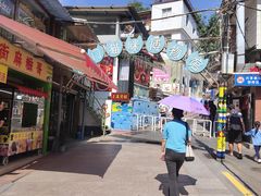 -猫咪博物馆(顶澳仔猫街店)