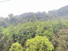 -青城山