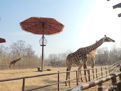 -济南野生动物世界