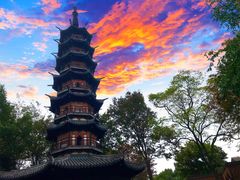 -上海月湖雕塑公园