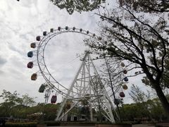 -上海野生动物园