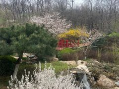 -大连植物园