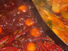 -蜀大侠火锅(总府路店)