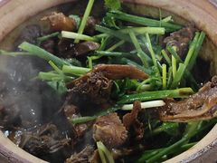 -霞姐屯昌枫木香草鸭店(海螺店)
