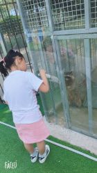 -萌宠亲子动物乐园(槐房万达店)