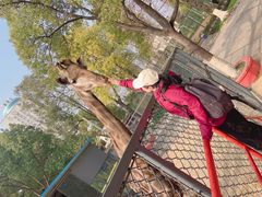 -荆州中山公园动物园