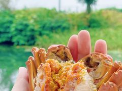 -欢乐蟹庄·精品农家乐(阳澄湖莲花岛店)