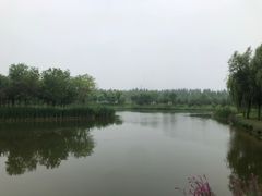 -东郊湿地公园