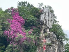 -星湖旅游景区七星岩