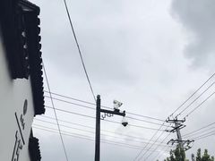 -鸡脚旮旯平江路店