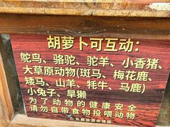 -长鹿旅游休博园