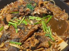 -老板恋上鱼(恒隆广场店)