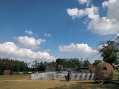 -上海长兴岛郊野公园