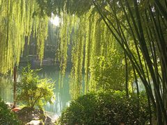 -趵突泉景区
