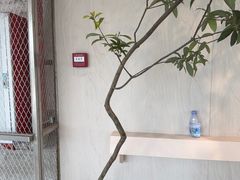 -喜茶(珠海华发商都店)