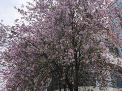 -荔湾区儿童公园